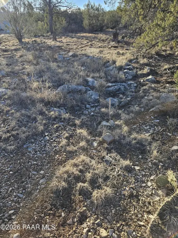 Picture 16