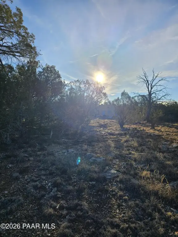Picture 17