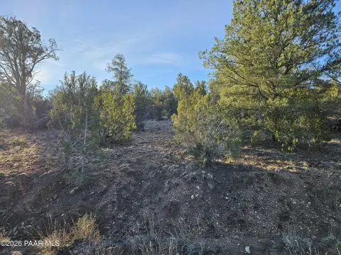 Treed High Desert Mountain Land