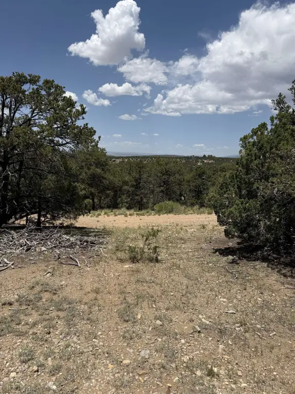 Picture 21