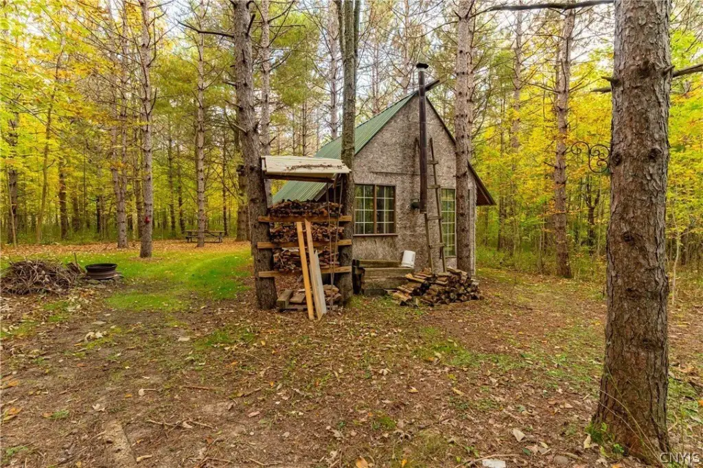 Picture 25