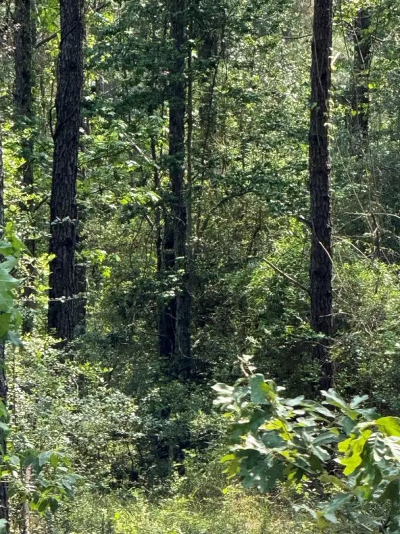 Picture 4