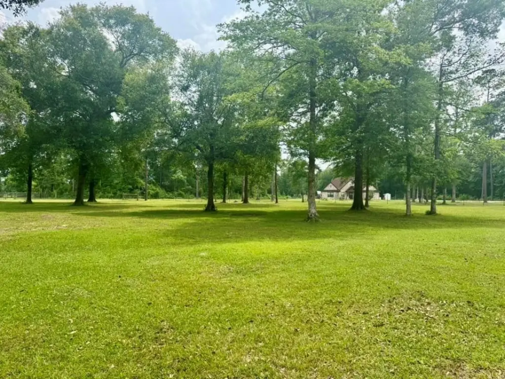 Picture 8