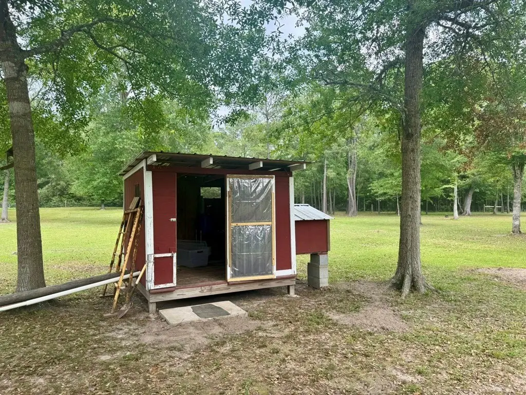 Picture 5