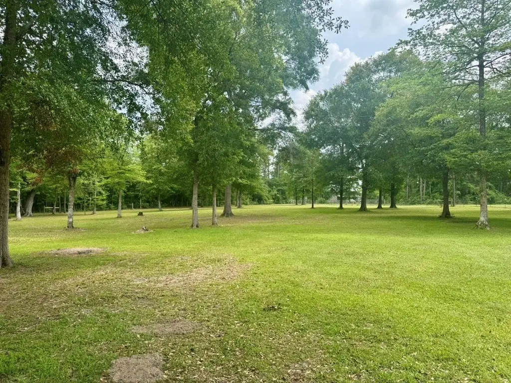 Picture 4
