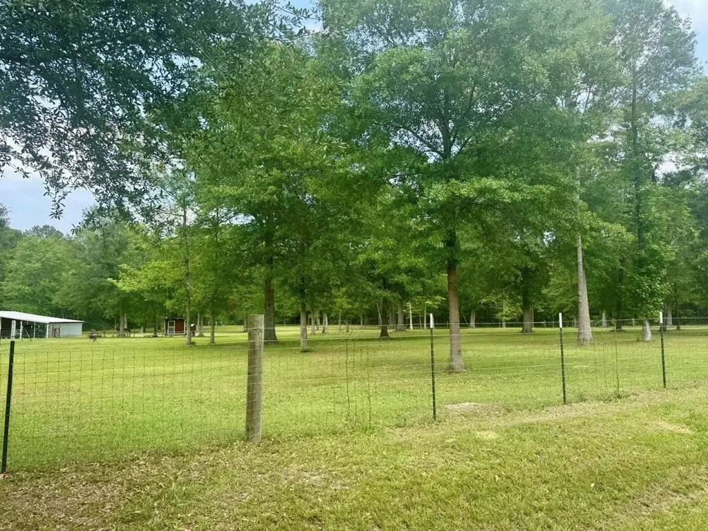Picture 13