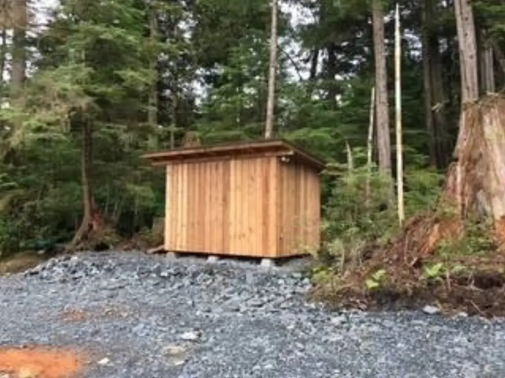 Picture 11