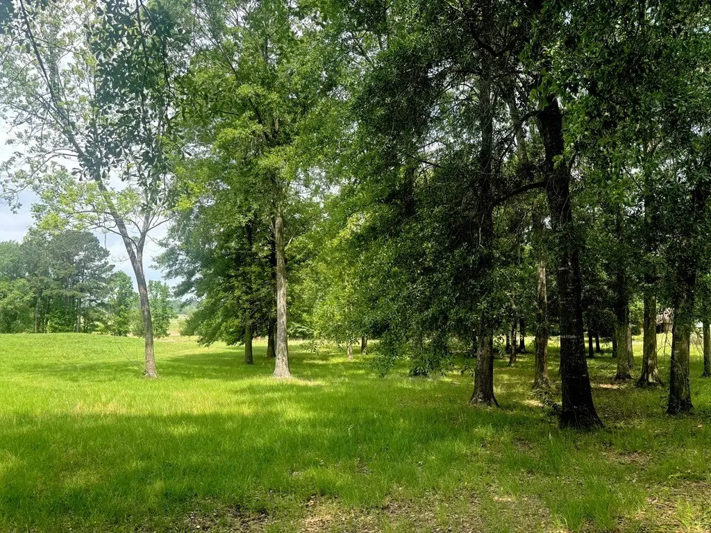 Picture 7