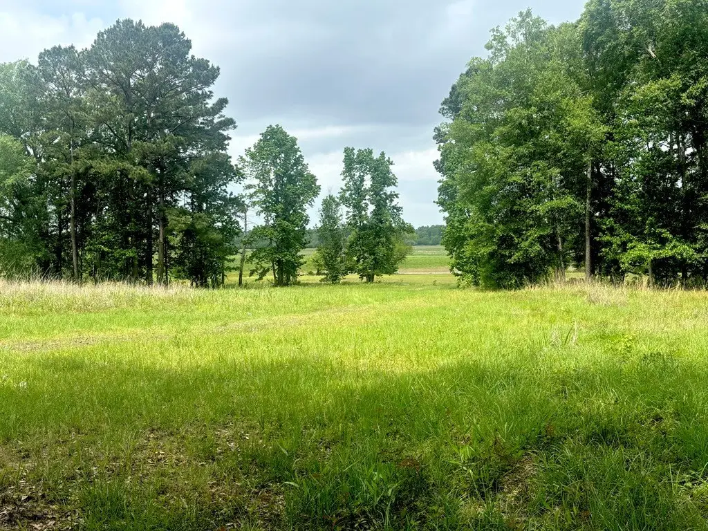 Picture 4