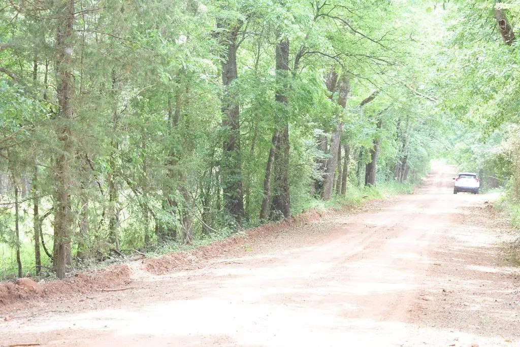 Picture 19