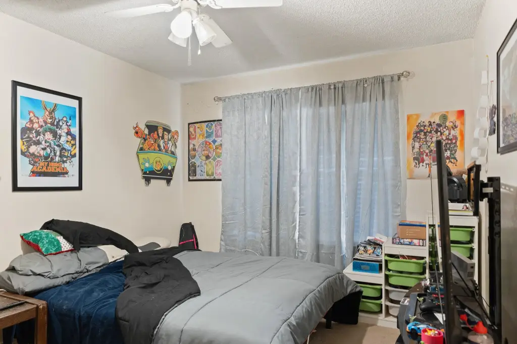 Picture 24