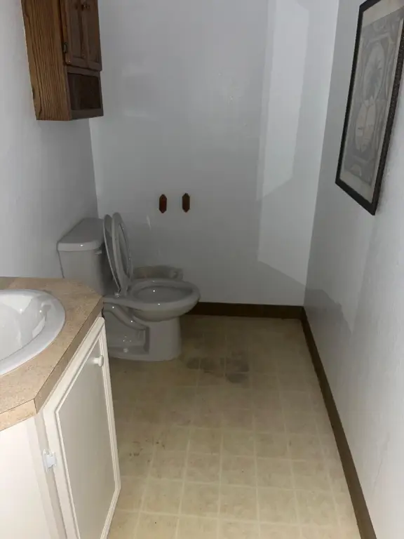 Picture 5