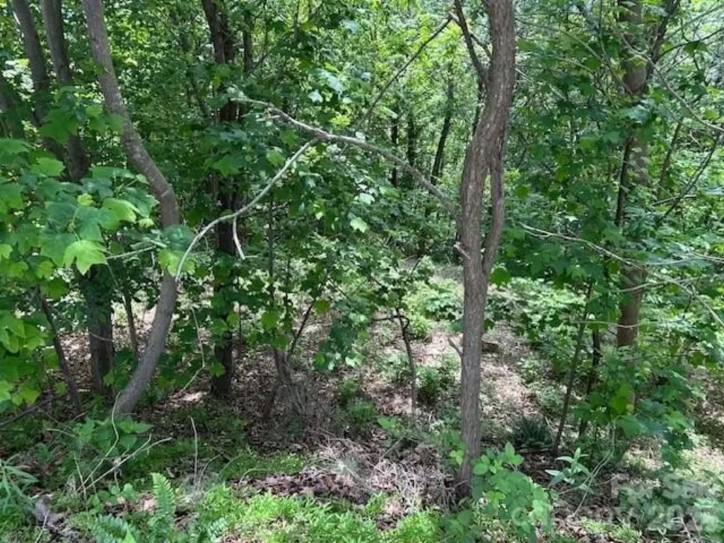 Picture 13