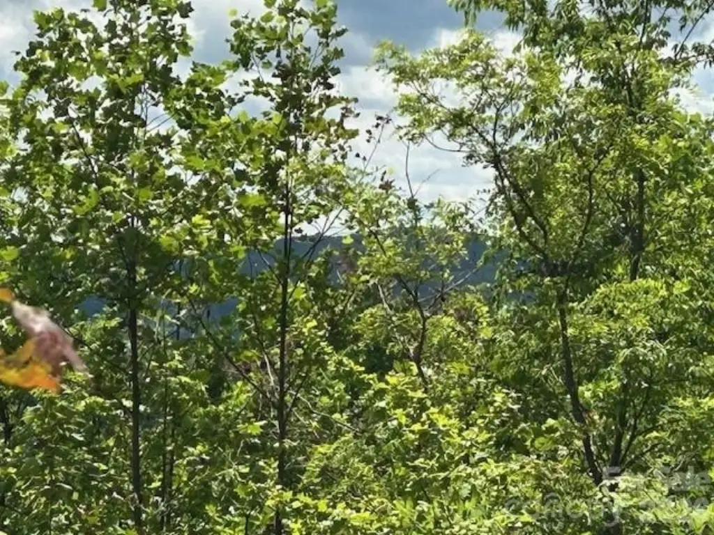 Picture 16