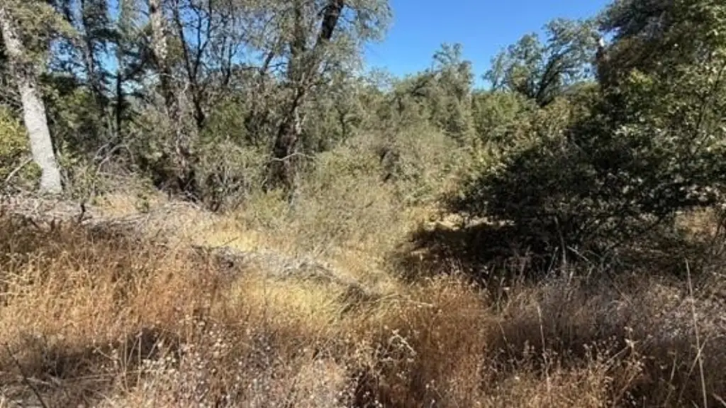 Picture 7