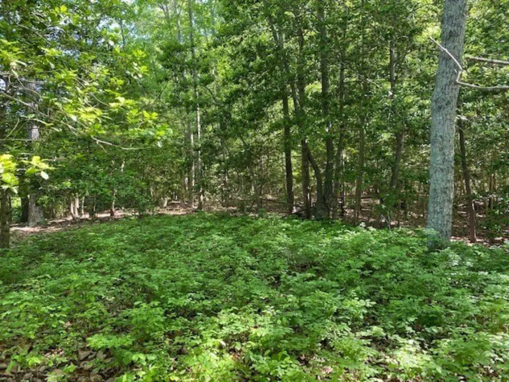 Picture 15