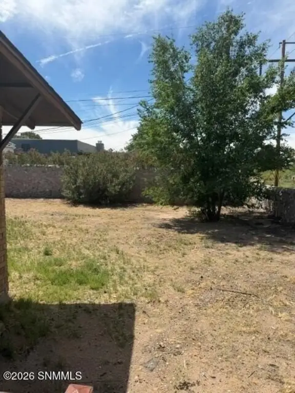Picture 6