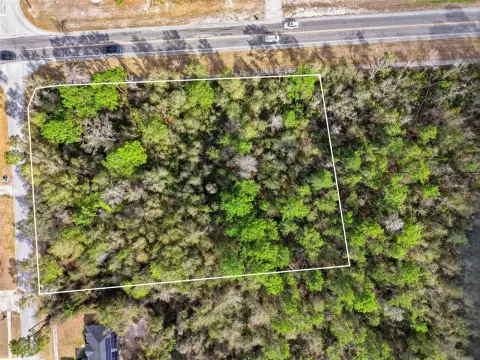 Deltona Commercial Corner Lot