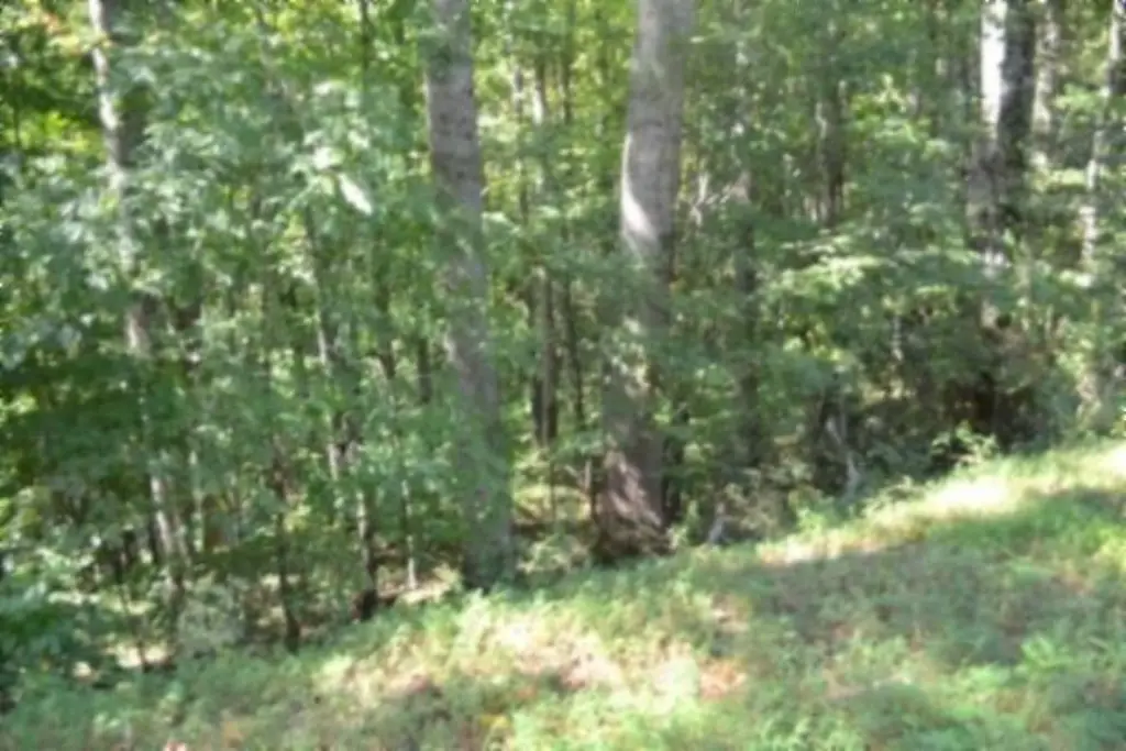Picture 13
