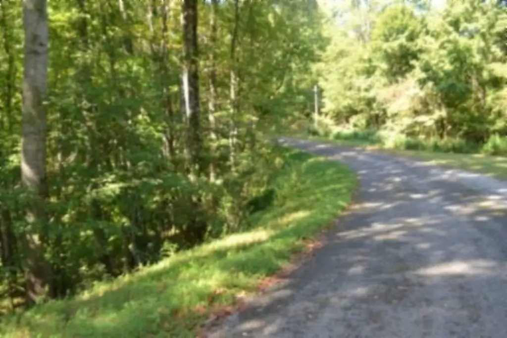Picture 12