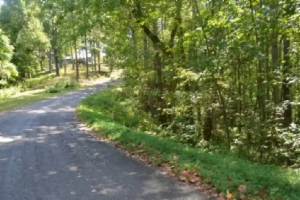Picture 11