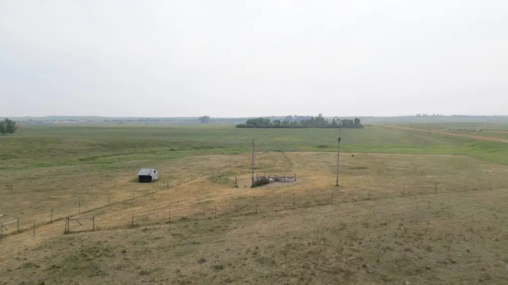 Picture 23