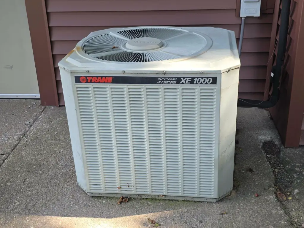 Picture 30