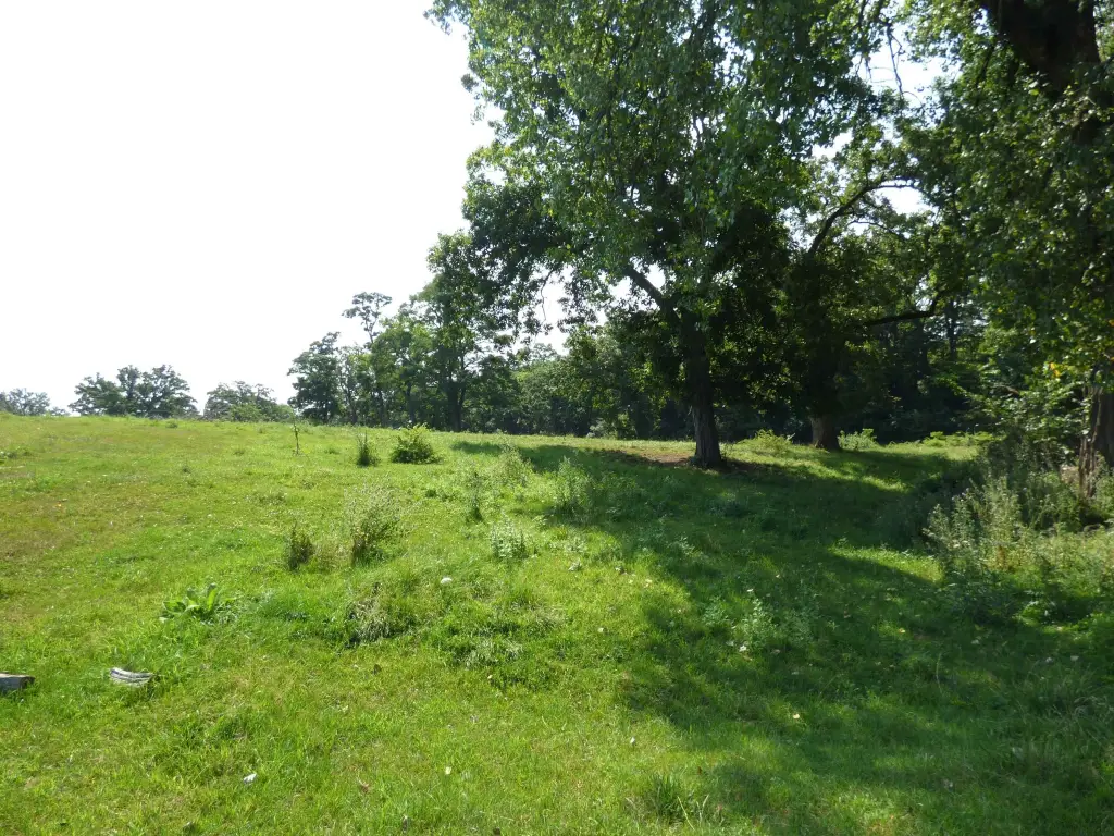 Picture 5