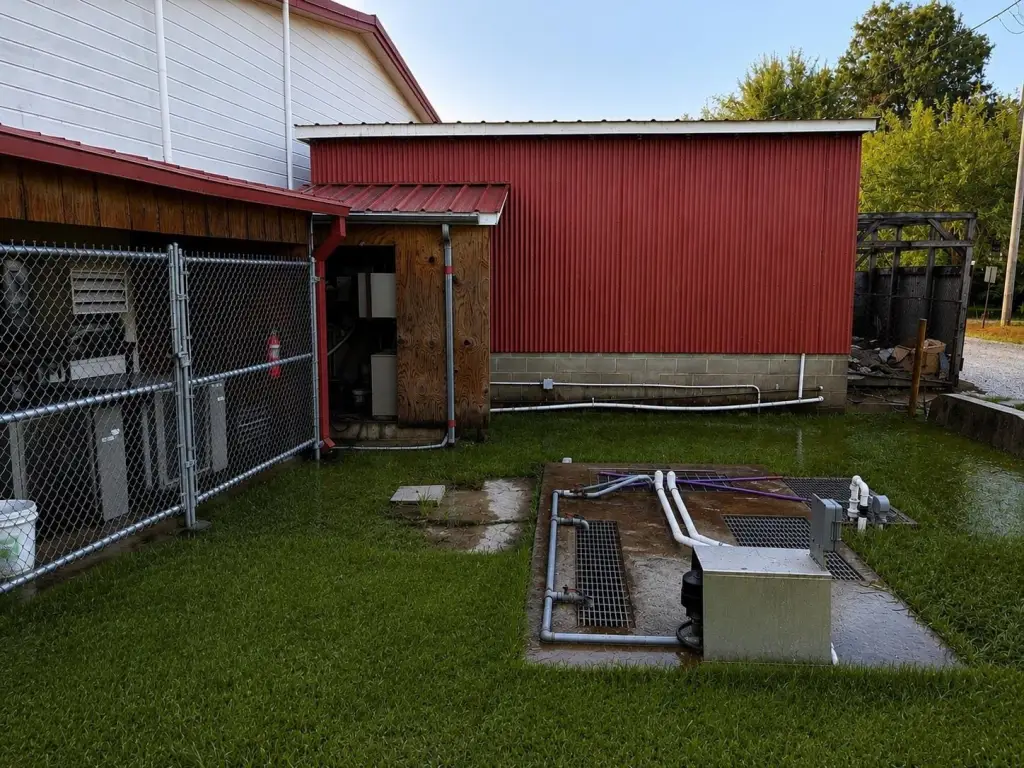 Picture 6