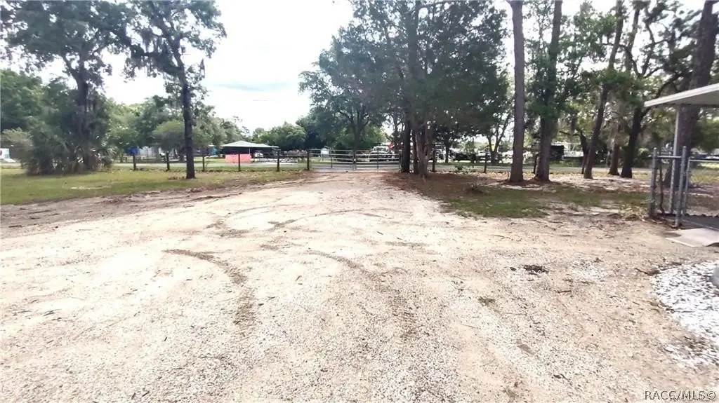 Picture 2