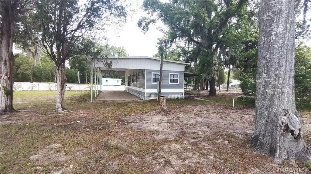 Picture 33