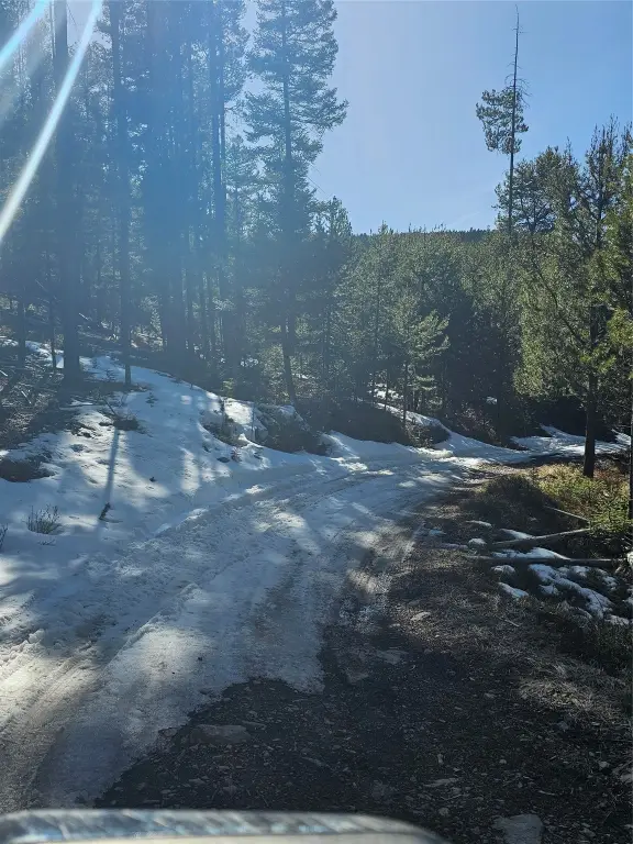 Picture 9