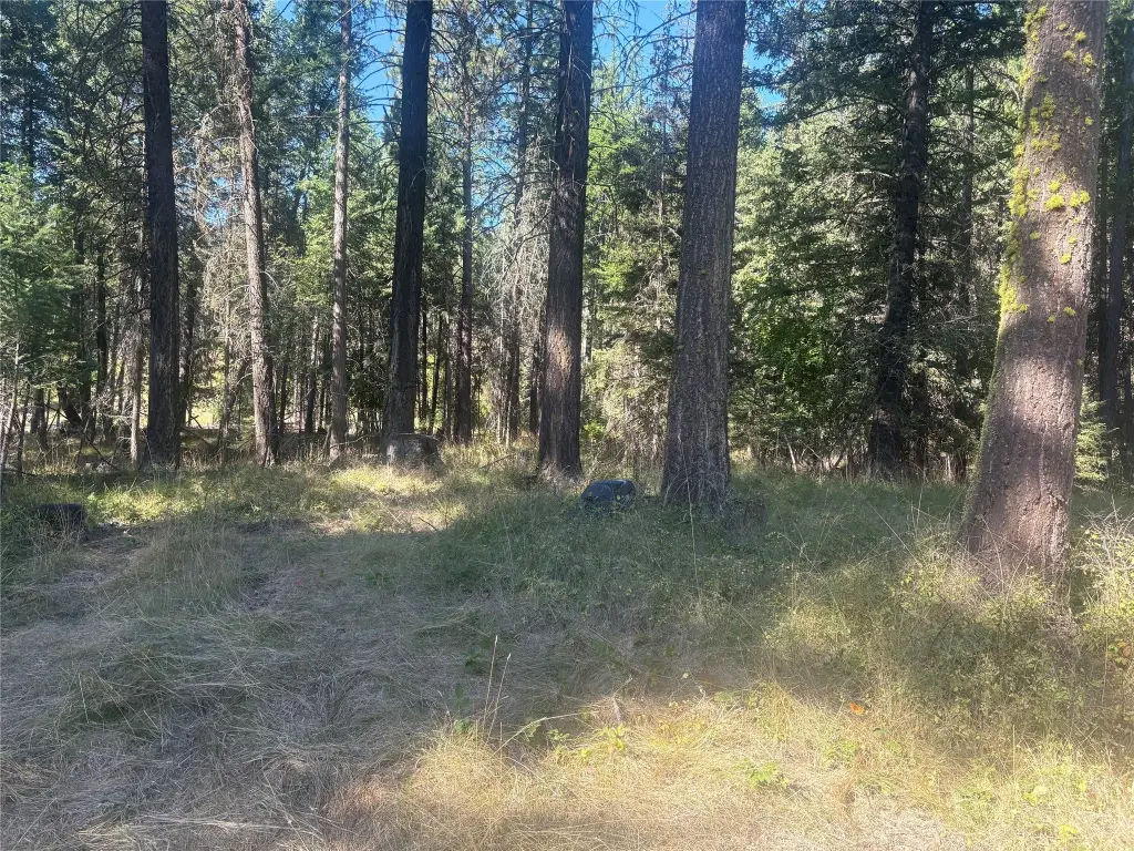 Picture 4