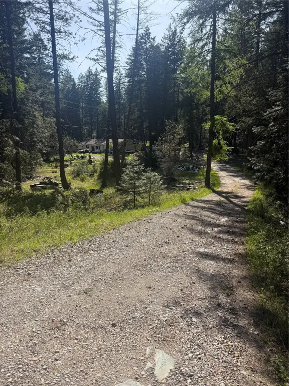 Picture 2