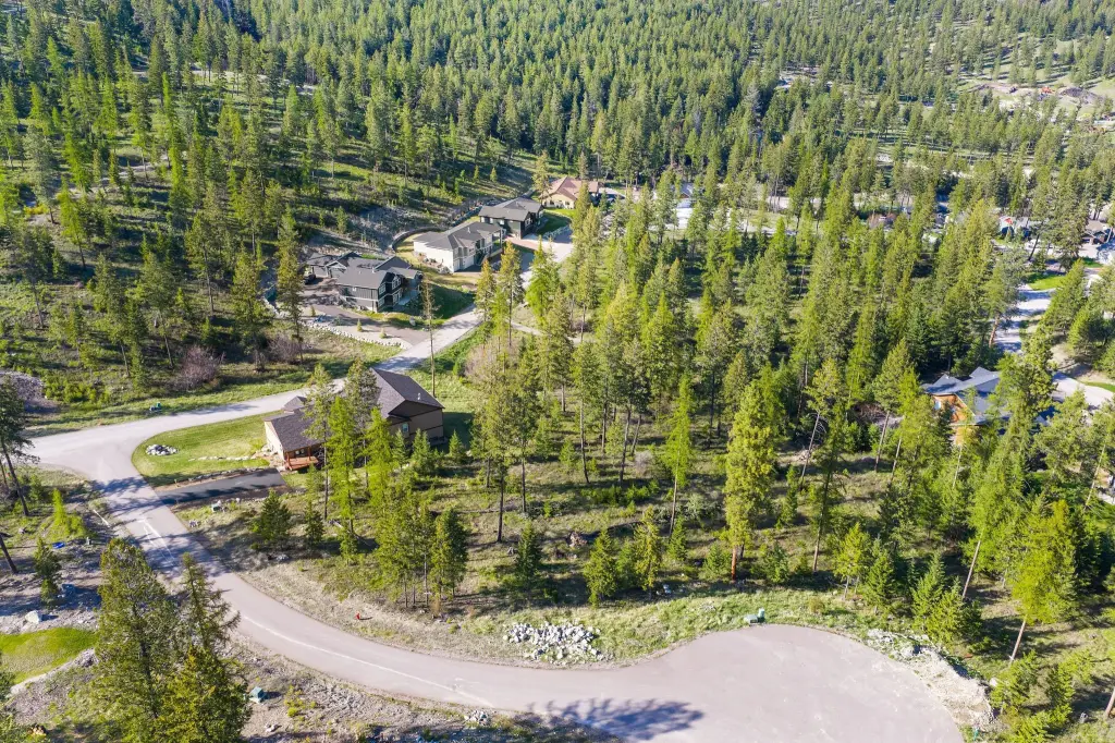 Picture 12