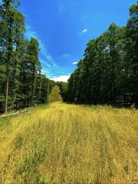 Kingston Acreage Near Buffalo River