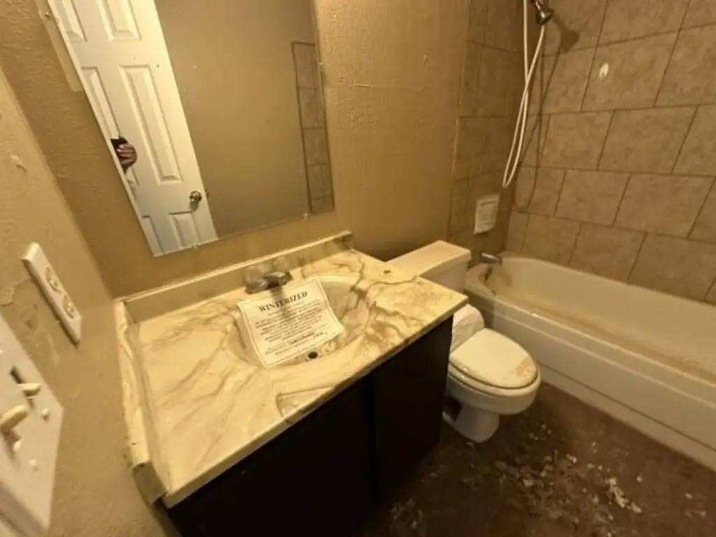 Picture 13