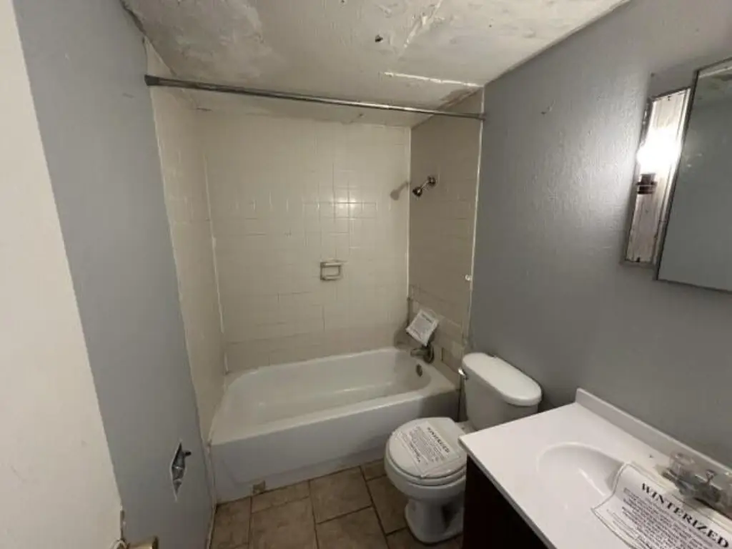 Picture 8