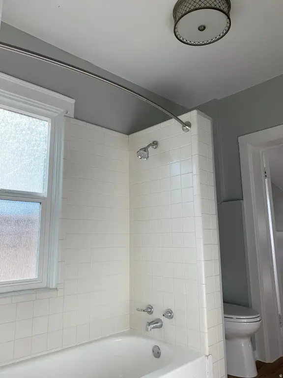 Picture 17