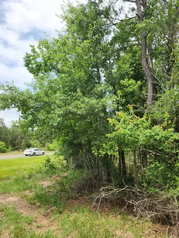 Picture 19