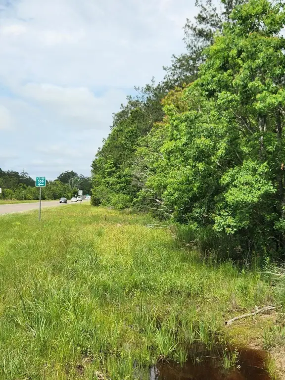 Picture 20