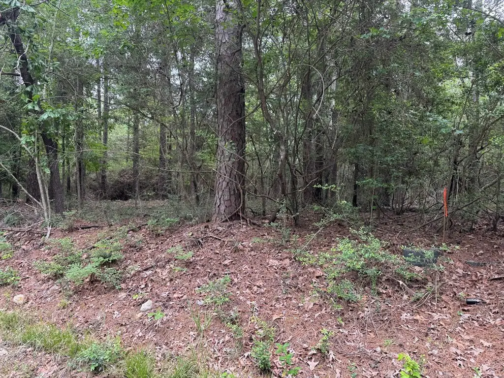 Picture 11
