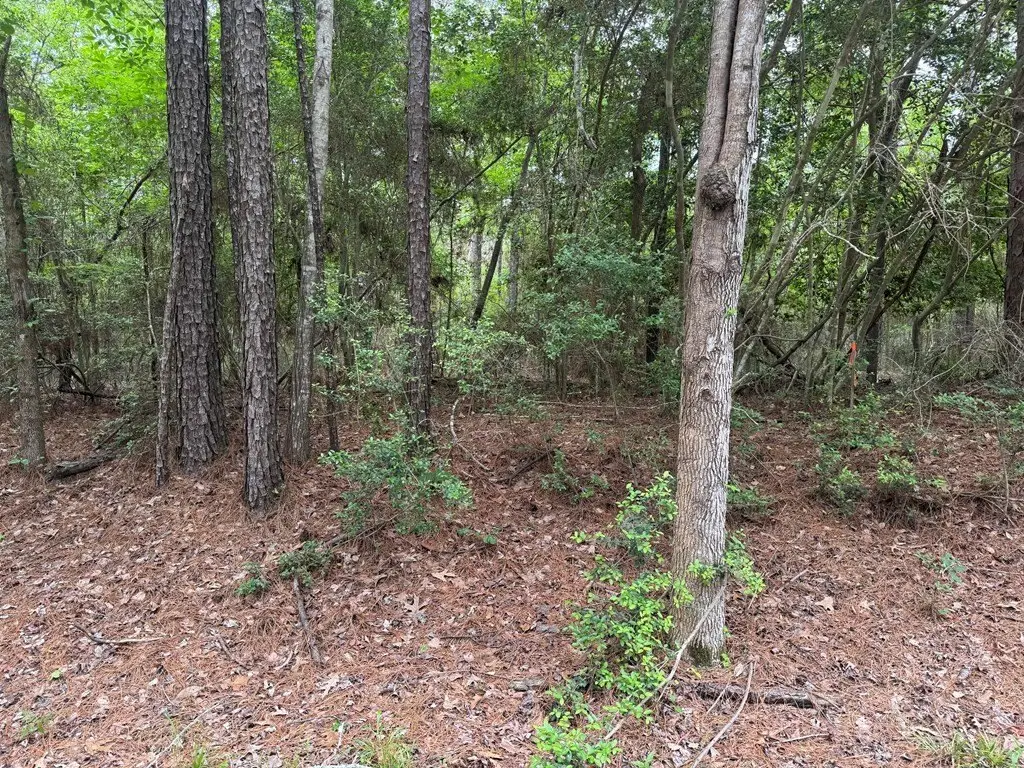 Picture 4