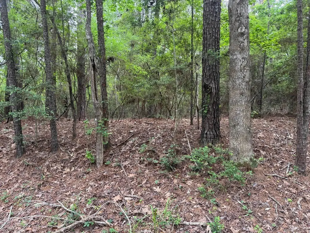 Picture 3