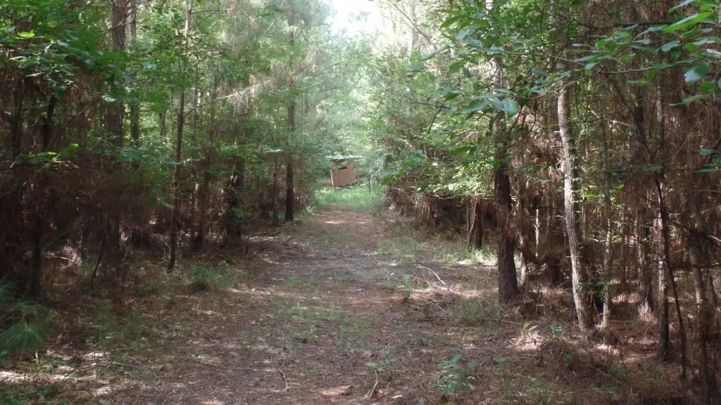 Picture 8