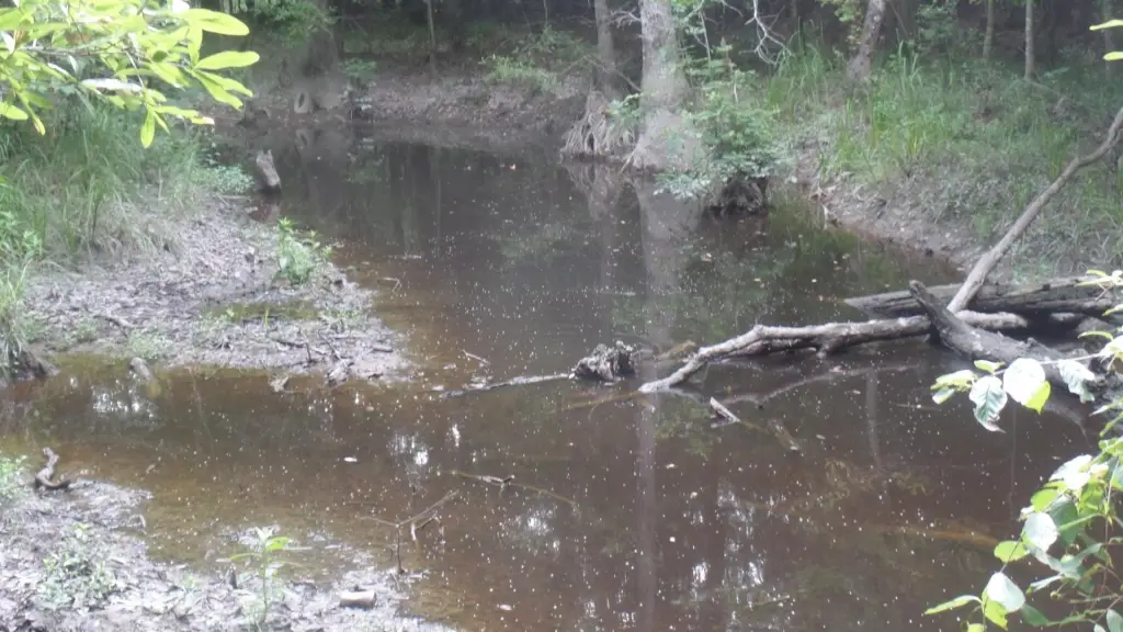 Picture 16