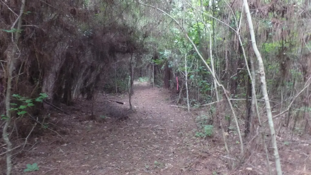 Picture 9