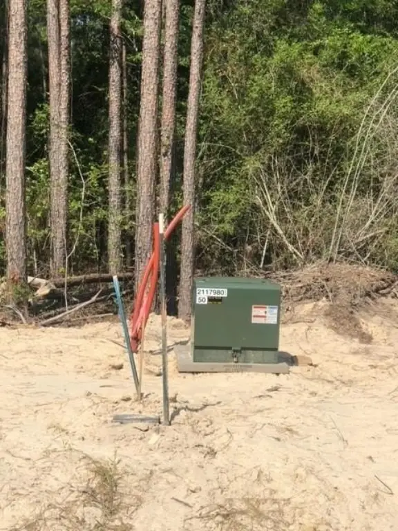 Picture 6