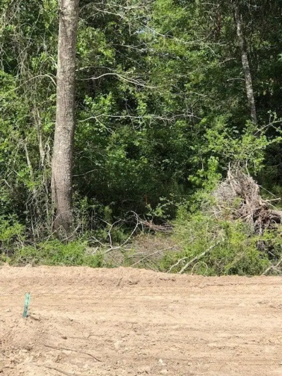 Picture 9