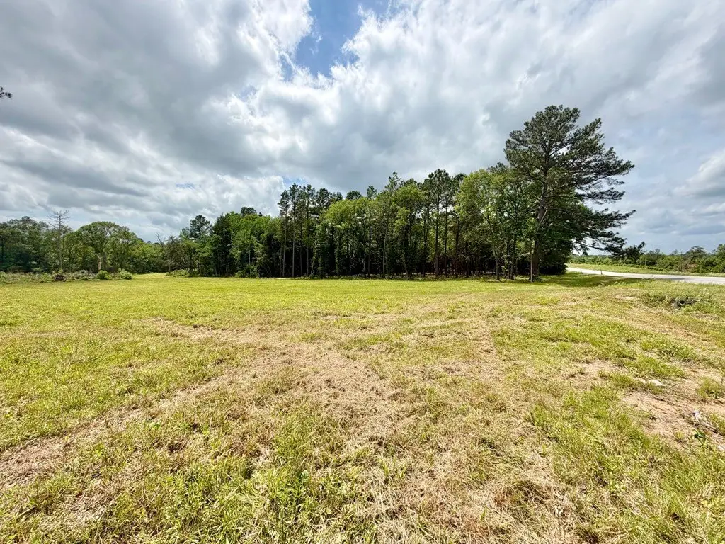 Picture 16
